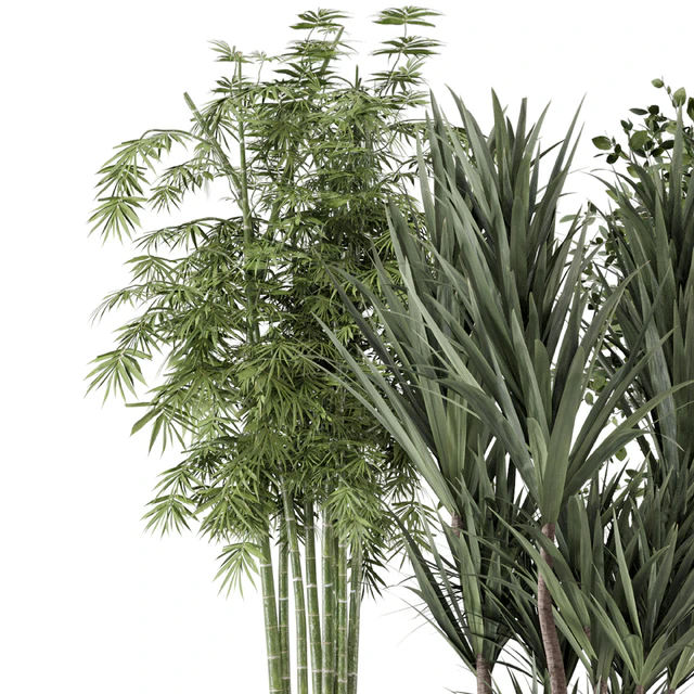 Indoor Plants in Combination of wood & concrete Pot - Set 723 — Скачать