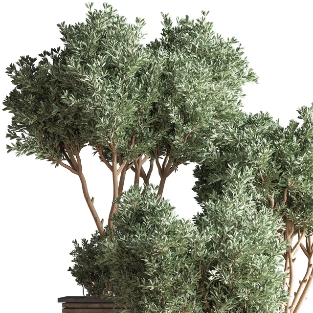 Outdoor Plants tree 22 — Descargar