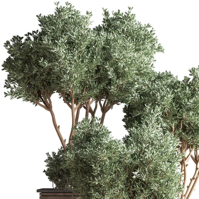 Outdoor Plants tree 22 — Ver 2