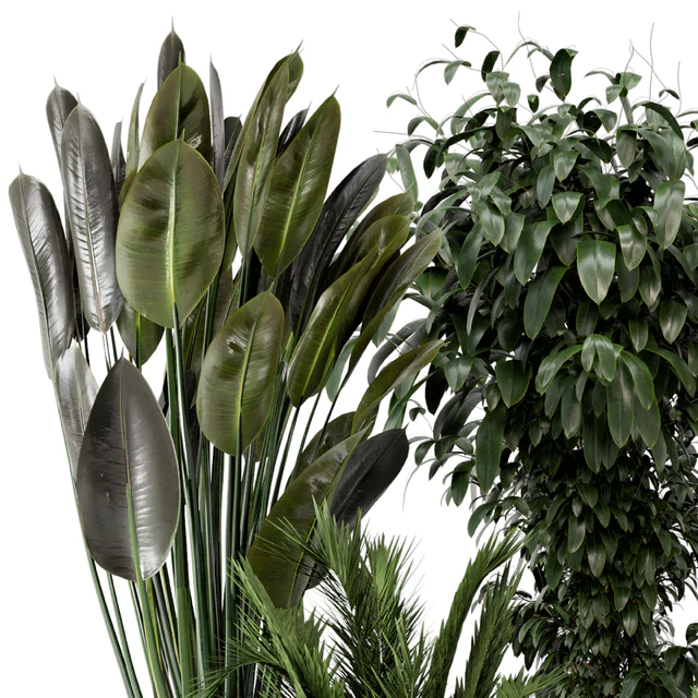 Indoor Plants in rusty Concrete Pot - Set 542 — Descargar