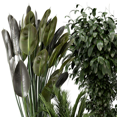 Indoor Plants in rusty Concrete Pot - Set 542 — Ver 2