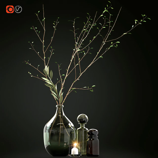 Decorative set with branches and glass bottles — Скачать