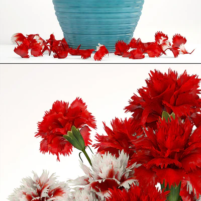 Bouquet of flowers 13. Carnation, vase, red flowers, decor — Ver 2