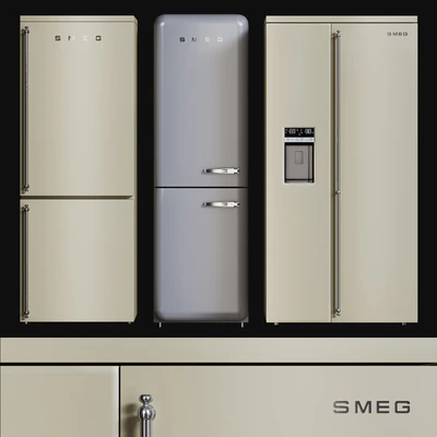Kitchen Appliances Fridges Set 2 — Ver 1