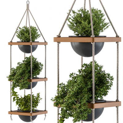 Hanging Plants Rope and Wood — Вид 2