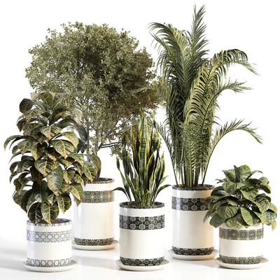 indoor plant 02 — Вид 1
