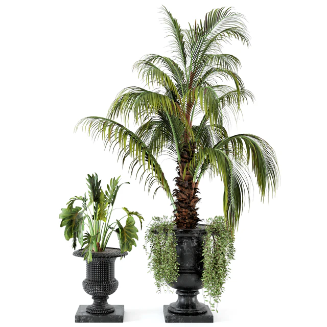 Outdoor Plants bush and Tree in rusty Concrete Pot - Set 26 — Descargar