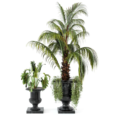 Outdoor Plants bush and Tree in rusty Concrete Pot - Set 26 — Ver 2