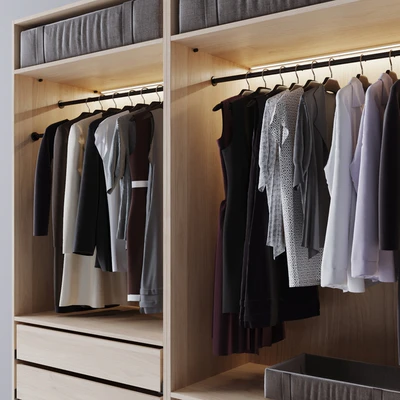 Poliform wardrobe — Ver 2