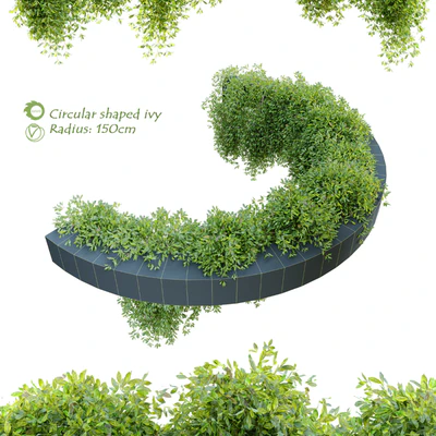 Circular shaped ivy — Ver 1
