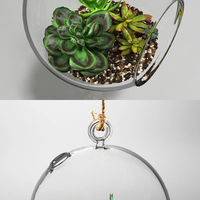 Sedum in a glass bowl — Ver 2