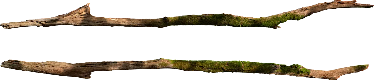 mossy branch 003 — Descargar