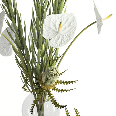 Banksia, anthurium and Leucadendron — Ver 2