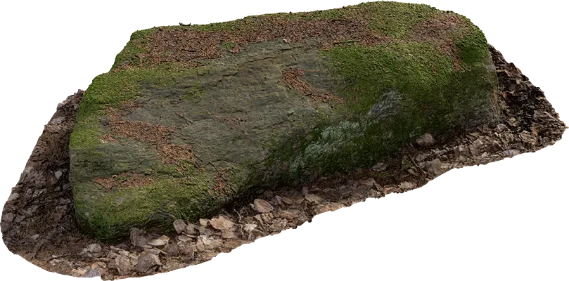 nordic forest rock small 004 — Скачать