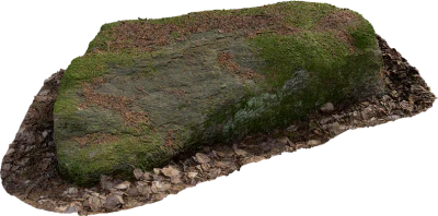 nordic forest rock small 004 — Скачать