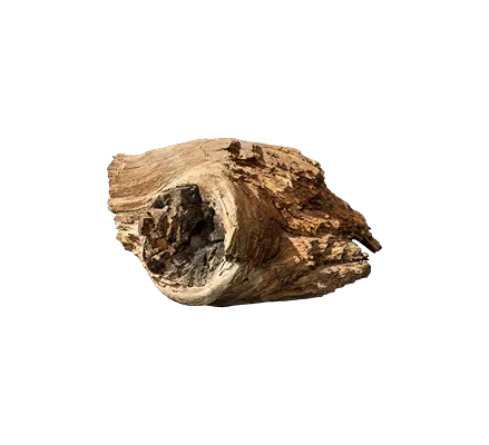 wood debris 001 — Скачать