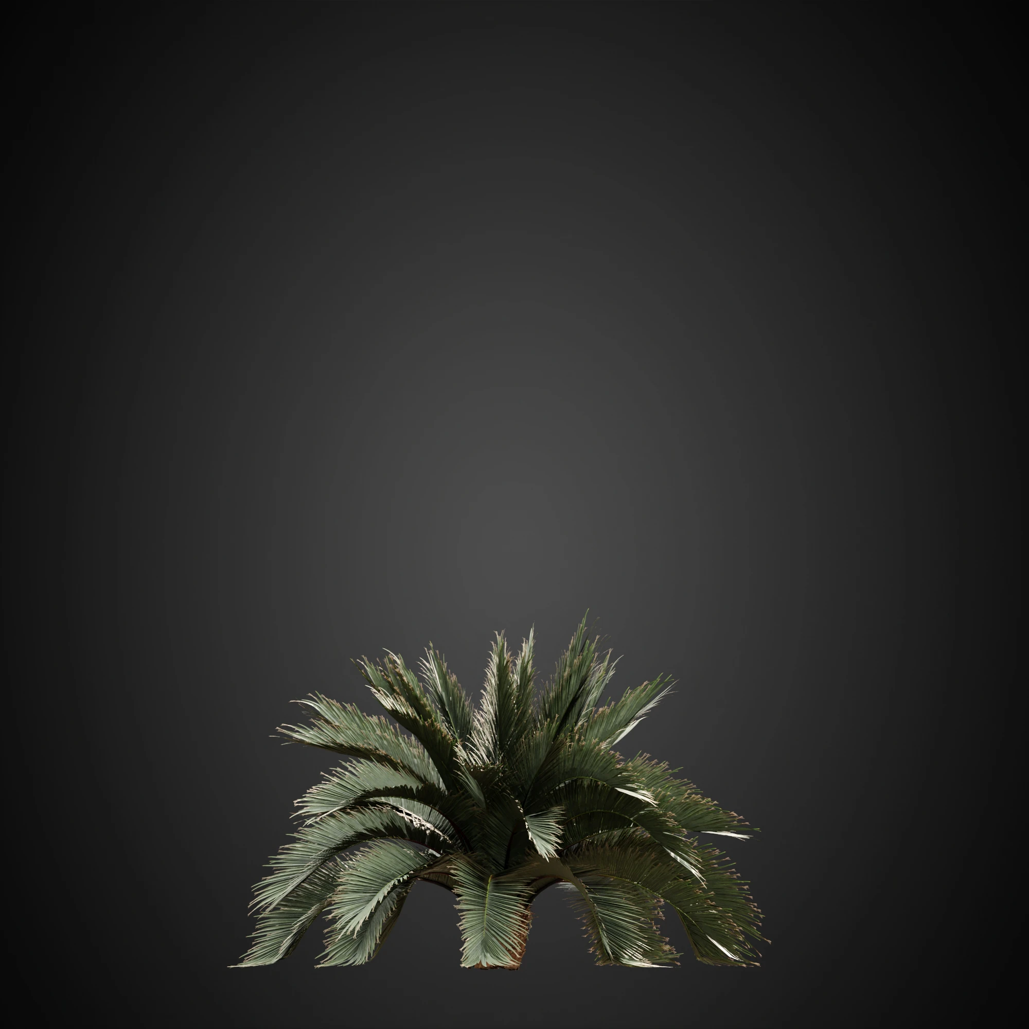 007 — Download