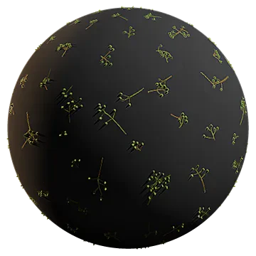 chinaberry fruit 002 — Скачать
