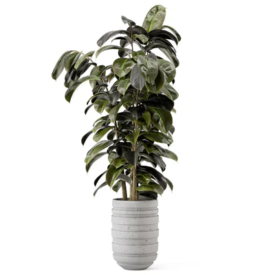 Indoor Plants  in rusty Concrete Pot - Set 549 — Вид 2