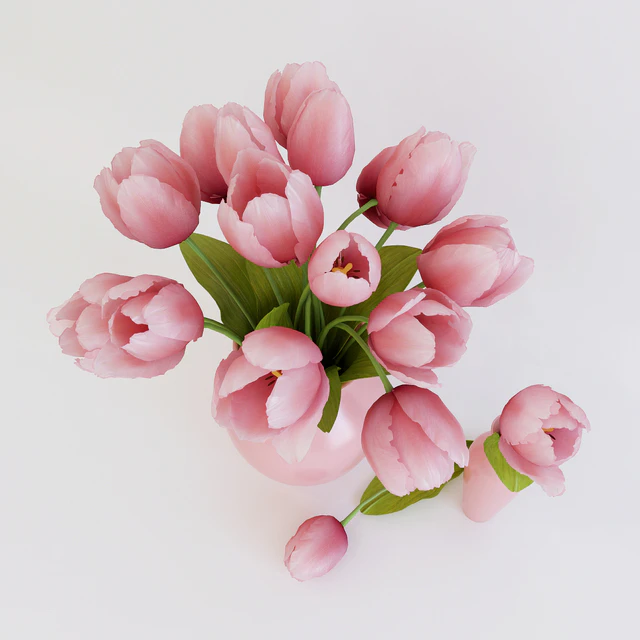 Pink tulips — Скачать