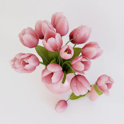 Pink tulips — Вид 2