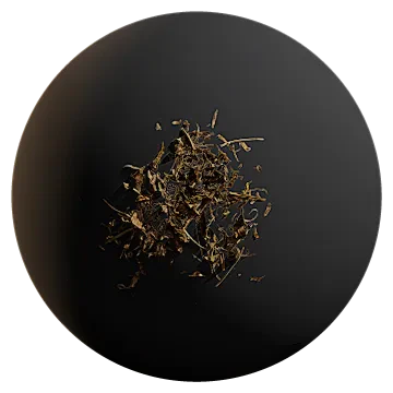 dry leaf debris 001 — Descargar