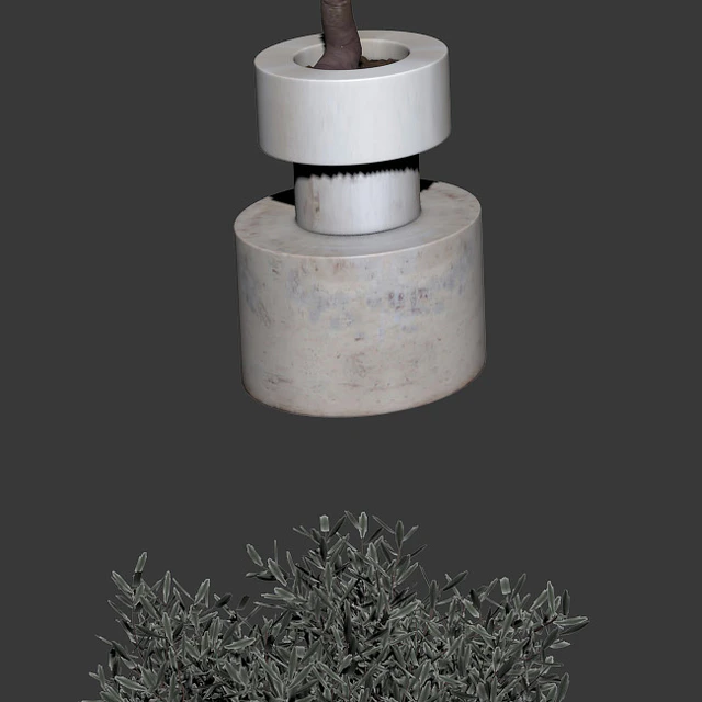 Olive trees. 2 models — Descargar