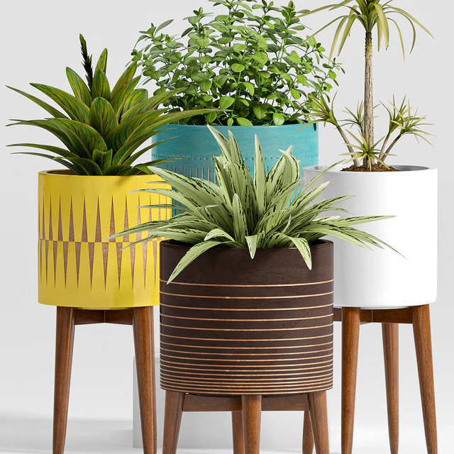 Plant Set -24 — Descargar