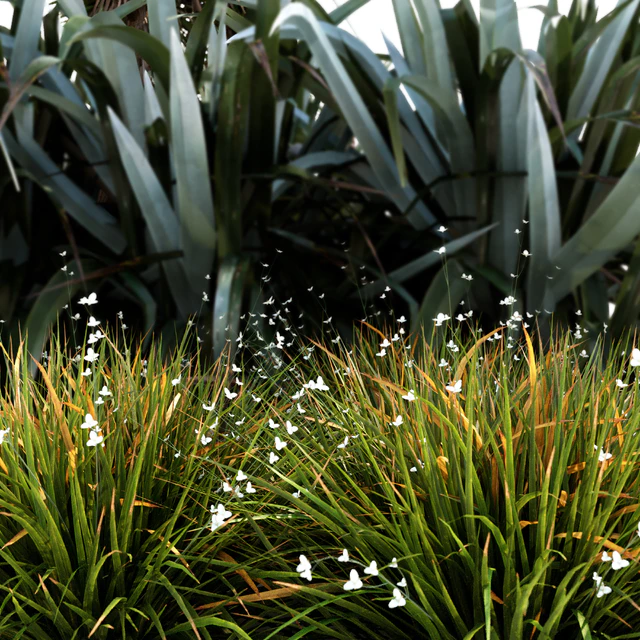 Oceania Plant Set — Скачать