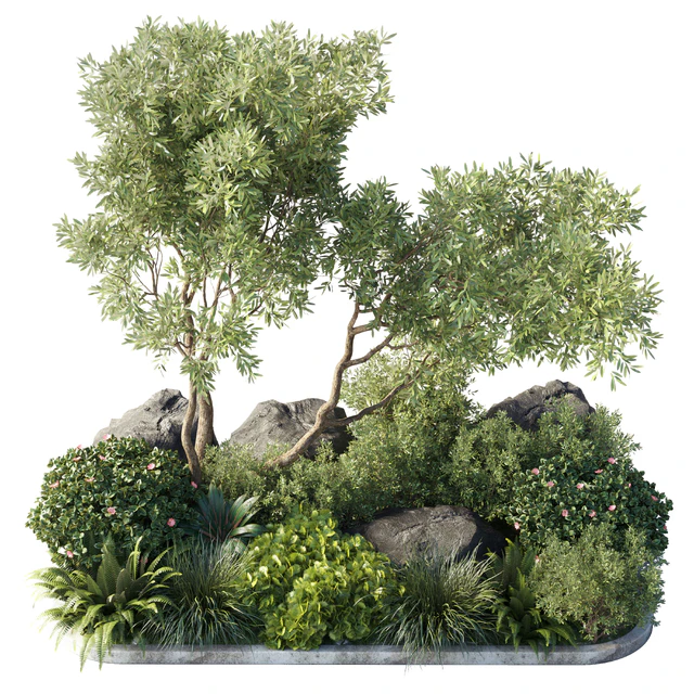 Collection outdoor indoor 62 pot plant & tree & bush & fern the garden pot — Descargar