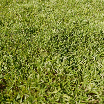High Details Grass — Ver 2