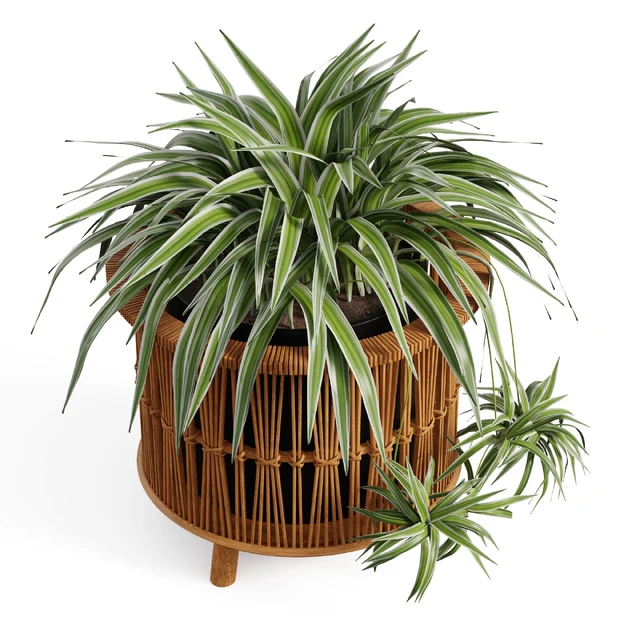 Maiki Woven Planters — Скачать