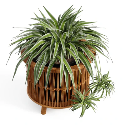 Maiki Woven Planters — Вид 2
