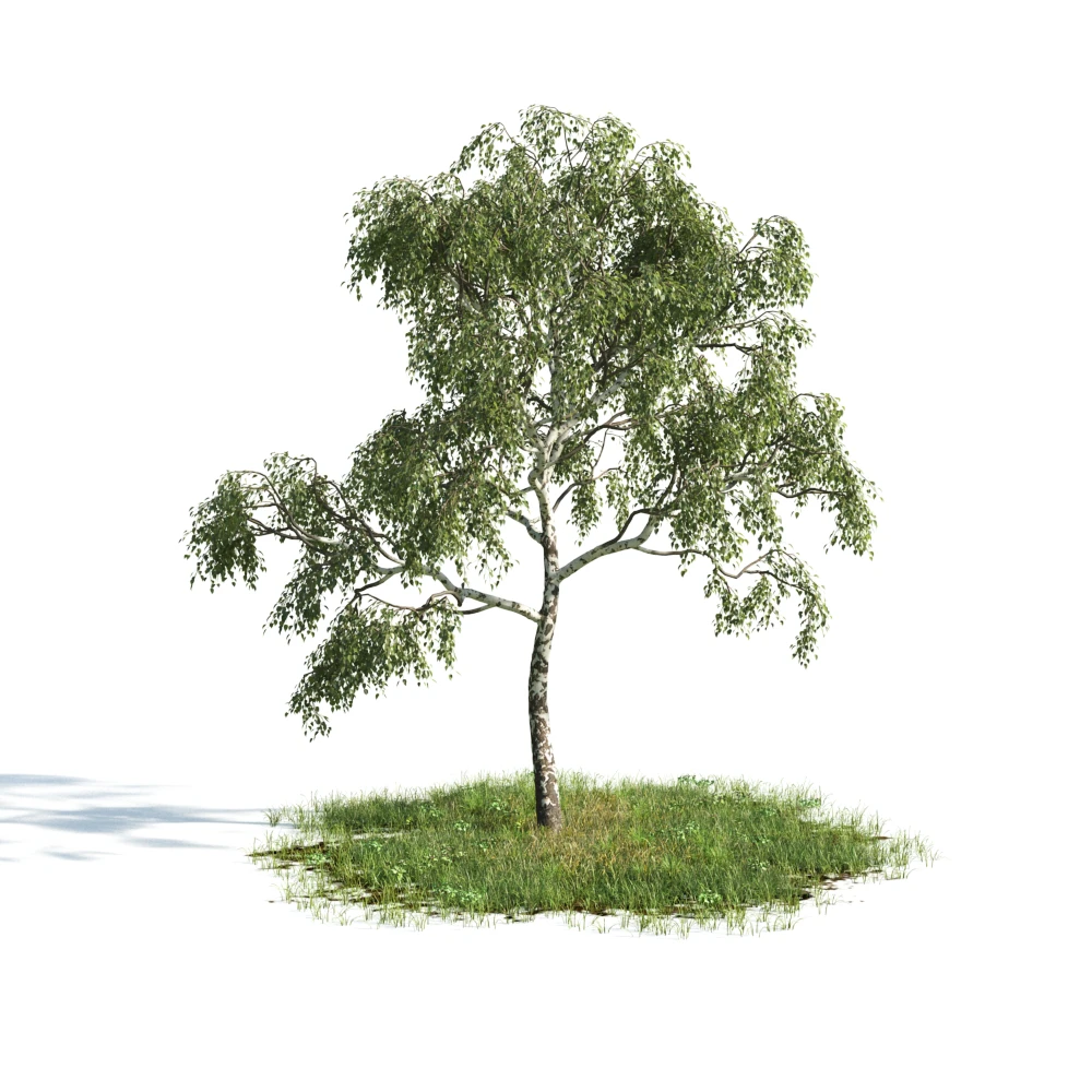 trees 009 — Descargar