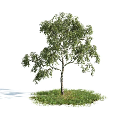 trees 009 — Descargar