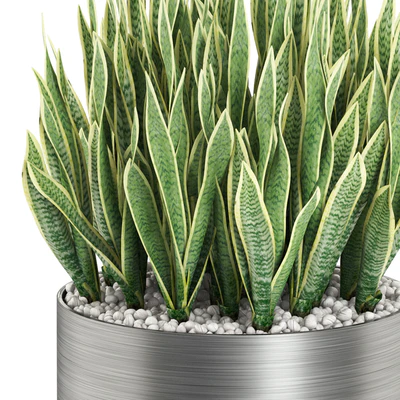 Plants collection 507 — Ver 2