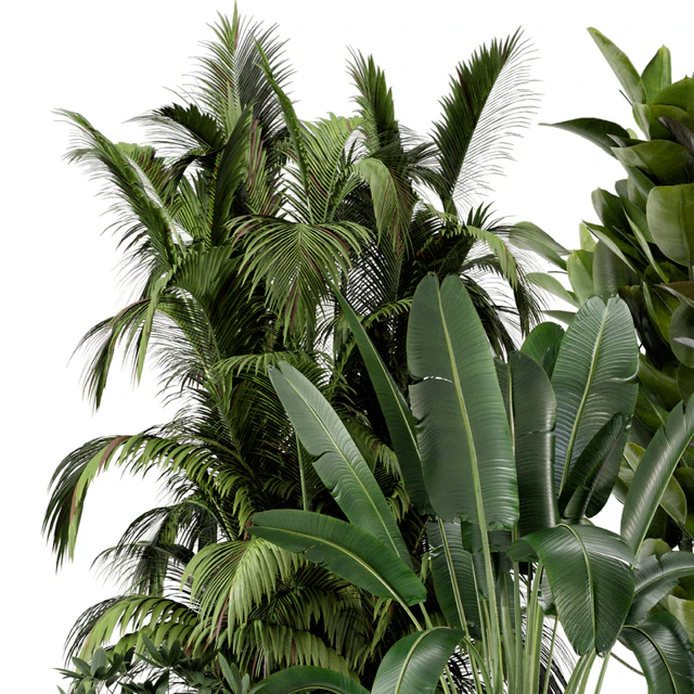 Indoor Plants in rusty Concrete Pot on Metal Shelf - Set 242 — Descargar