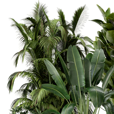 Indoor Plants in rusty Concrete Pot on Metal Shelf - Set 242 — Ver 2