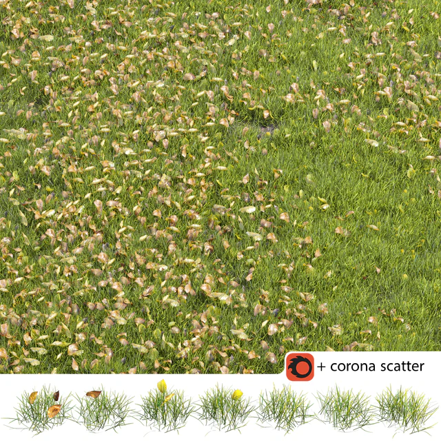 Autumn lawn — Descargar