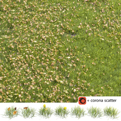 Autumn lawn — Ver 1