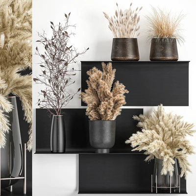A set of bouquets of dried flowers in vases on a black metal shelf made of Pampas branches, reeds. 119 — Ver 1
