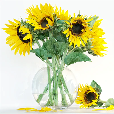 Sunflower1 — Вид 1