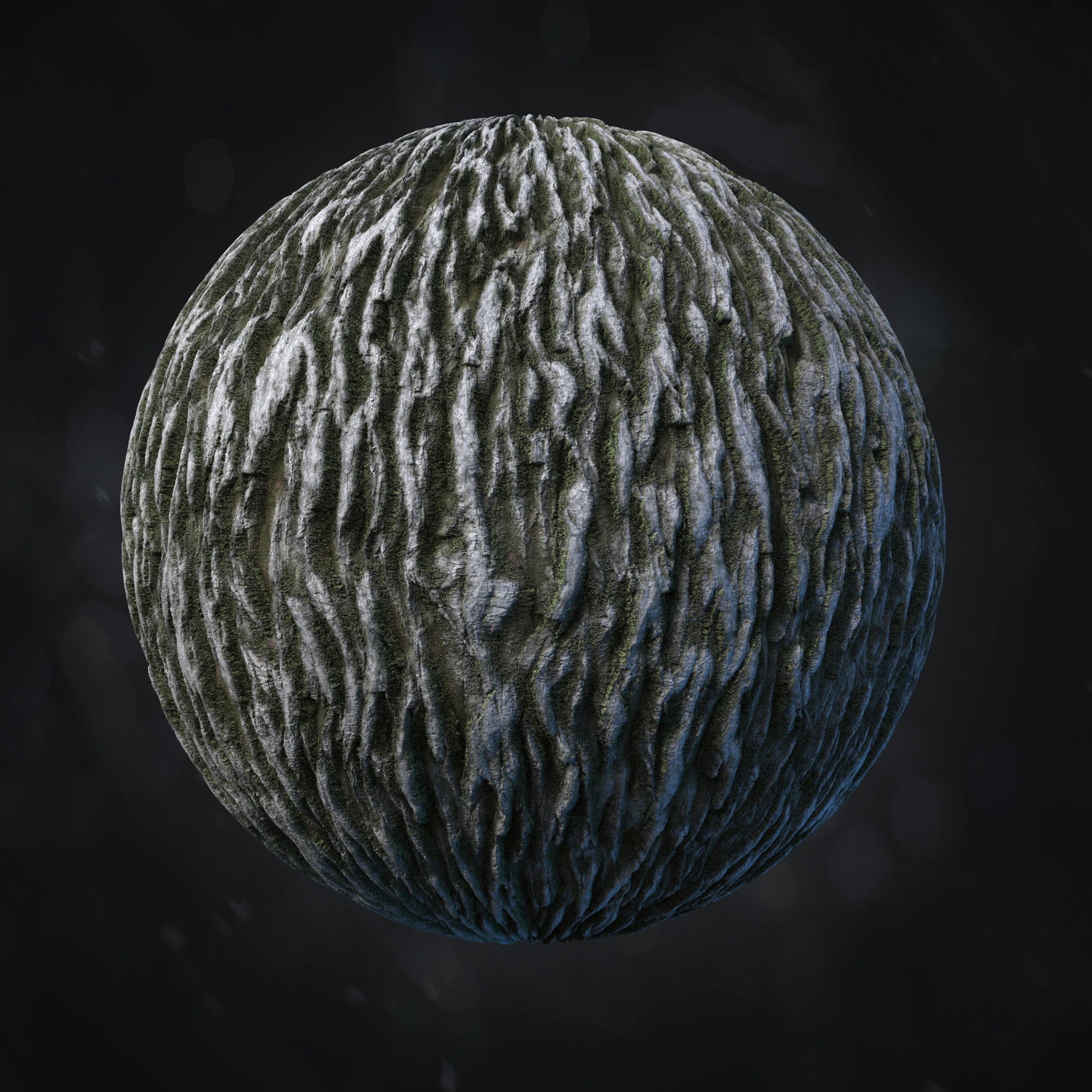 oak bark 004 — Скачать