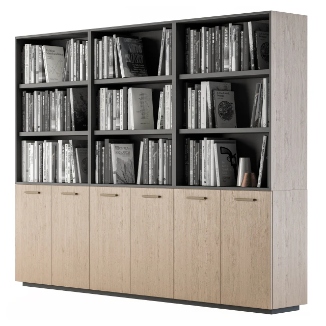 Simple Library with black and white Books — Скачать
