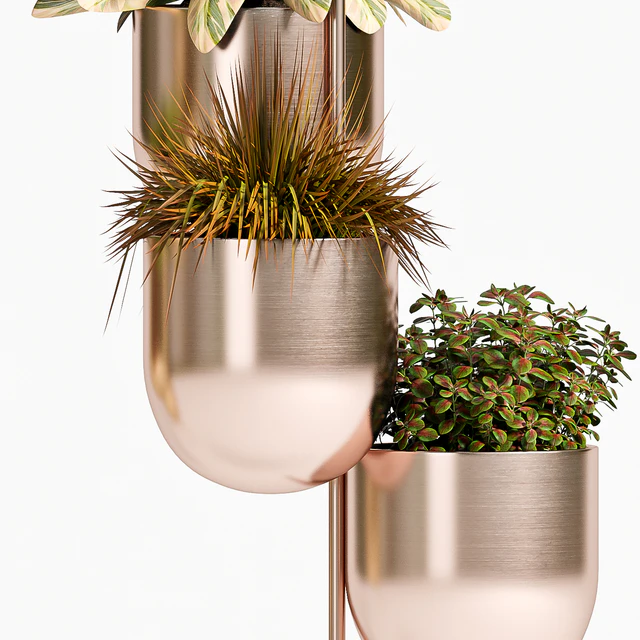 PLANT SET -79 — Descargar