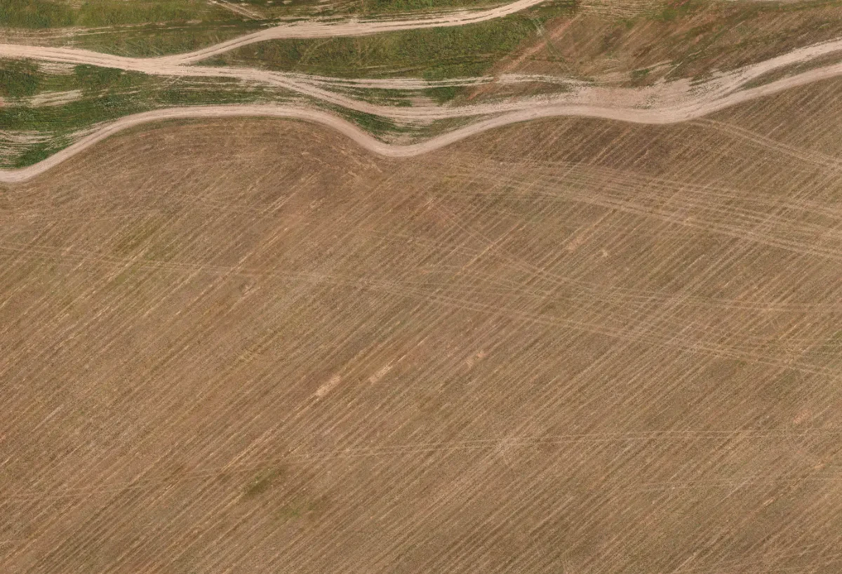 field summer 042 — Descargar