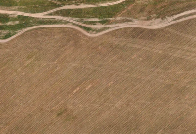 field summer 042 — Descargar