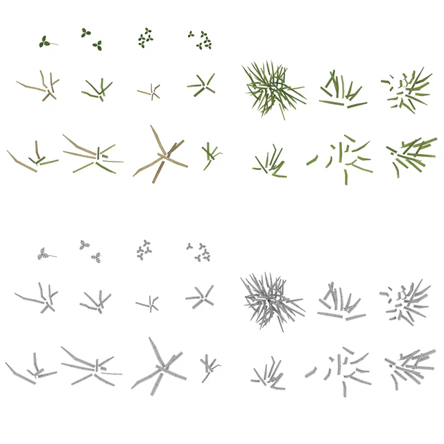 Lawn grass — Descargar
