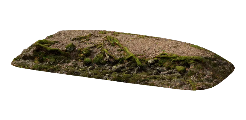 nordic forest ledge root medium 001 — Скачать