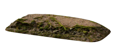 nordic forest ledge root medium 001 — Скачать